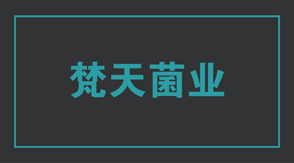 食品行业长沙冲锋衣设计款式